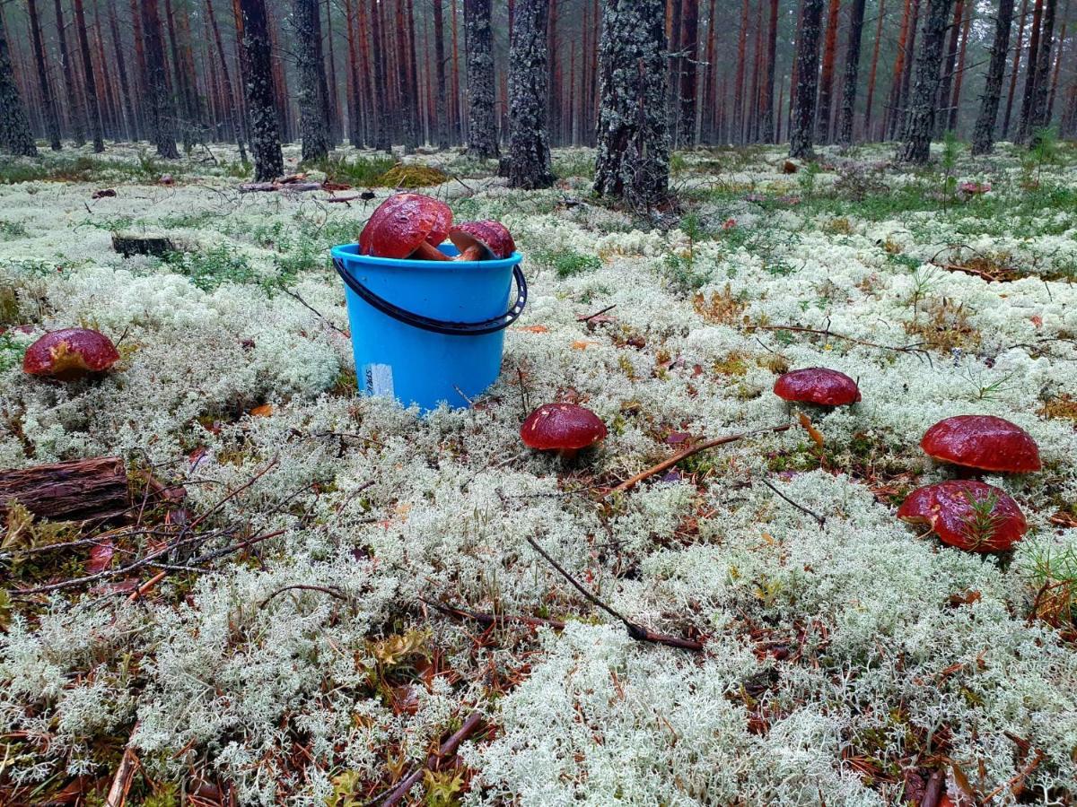 Mysig Timmerstuga Vid Sjoen Bjoerken 34 Roennsudden Grangärde Kültér fotó